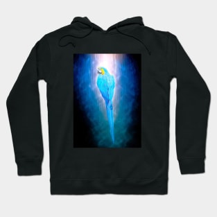 Parrot Bird Animal Wildlife Forest Jungle Nature Travel Digital Painting Hoodie